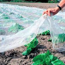 Insektennetz 5 X 2 M Es Schutzt Vor Kohlweissling Mohren Zwiebel Kohl Und Rettichfliegen Und Erubrigt Den Einsatz Insekten Pflanzenschutz Insektennetz