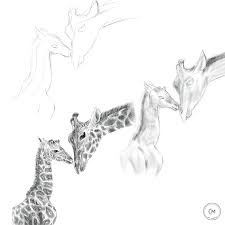 Learn How To Draw Giraffes Animal Drawing Artwork By Tk Drawing Tutorial Art Education Video Animal Drawings Giraffe Drawing Drawing Techniques