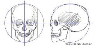 How To Draw A Skull 50 Tutorials Drawn In Black Skulls Drawing Drawing Tutorial 3d Drawings