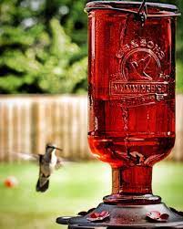 Learn the best and worst foods for hummingbirds so you can provide a healthy, safe diet in your yard. The Best Homemade Hummingbird Food Recipe Bless This Mess