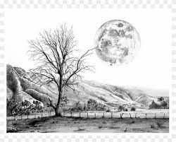 Clip Black And White Beautiful Nature Pencil Drawings Black And White Landscape Drawings Png Download 3154371 Pikpng Nature design elements black white leaf grass icons.