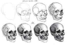 Skull Steps By Asteltainn Skull Art Drawing Skulls Drawing Skeleton Drawings