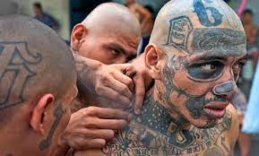 The Real Meaning Behind Tattoos Royal Kave