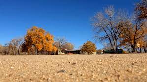  your browser is not supported. Denver Weather Forecast For Today Nov 21 Colder And Windier Than Yesterday Denverite The Denver Site