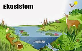 Komponen Ekosistem Peran Dan Interaksinya Santos Blog
