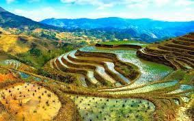 Banaue Rice Terraces Drawing At Paintingvalley Com Explore Collection Of Banaue Rice Terraces Drawing Tourist Spots Banaue Rice Terraces Philippines