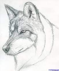 Easy Pencil Drawings Step By Step Wolf Learn How To Draw A Wolf Head Mexican Wolf Forest Animals Risovat Zhivotnyh Uroki Risovaniya Risovat