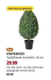 Ikea Duisburg Vinterfest Topfpflanze Kunstlich Drinnen Draussen Buchsbaum 82 Cm Hoch Topfpflanzen Buche Baum Pflanzen