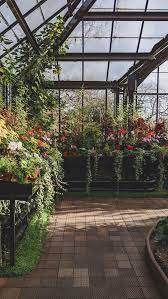 Glasgow Botanic Gardens Glasgow Scotland Uk Garden Photography Glasgow Botanic Gardens Plant Aesthetic