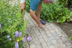 Pflaster Und Fugen Von Unkraut Befreien Das Haus Unkraut Unkraut Entfernen Garten