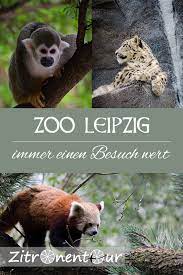 Der Zoologische Garten Leipzig Wurde Vielfach Als Einer Der Besten Zoos In Europa Ausgezeichnet Entsprechend Hoch Sind Naturlich Auc Leipzig Leipziger Zoo Zoo