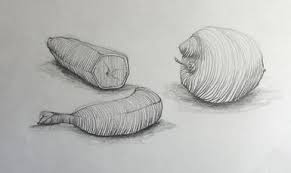 Drawing Exercise Cross Contour Drawing Of Fruit Contour Drawing Cross Contour Line Drawing Contour Line Drawing