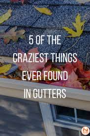 5 Of The Craziest Things Ever Found In Gutters Gutter Talk Gutters Cleaning Gutters Gutter