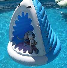 21 Dogs Doin Themselves A Pool Float Boiasdepiscina Dogs Doin Float Pool Dog Pool Floats Summer Pool Floats Dog Pool