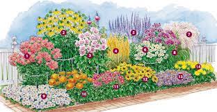 Hohe Stauden Als Sichtschutz Blumenbeet Anlegen Mehrjahrige Pflanzen Stauden