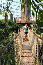 Gondwanaland Im Leipziger Zoo Leipziger Zoo Zoo Zoologischer Garten