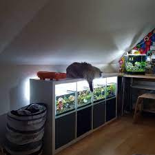 21 Inventive Ways To Use Ikea Kallax Shelves Around The Home Ikea S Modular Kallax Shelving Units Are Famous For Kallax Ikea Ikea Kallax Shelf Kallax Shelf