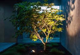 Led Baumbeleuchtung Mit Rundem Gartenspot Baumbeleuchtung Beleuchtung Landschaftsbeleuchtung