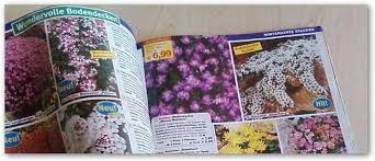 Baldur Garten Katalog Bestellen Und Zu Hause Blattern