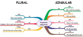 Learn English Grammar Through Pictures 10 Topics Illustrated Eslbuzz Learning English Learn English Possessive Adjectives English Grammar