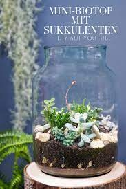 Diy Mini Biotop Im Glas Florarium Terrarium Flaschengarten Flaschengarten Terrarium Sukkulenten
