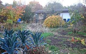 Der Garten Am Saisonende Nicht Aufraumen Garten Garten Ideen Garten Zitate