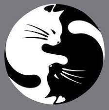 Image Result For Black Cat Drawing Easy Lucky Cat Tattoo Cat Tattoo Yin Yang Tattoos