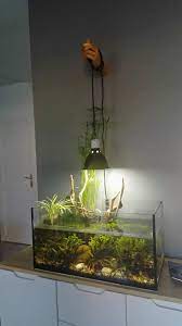 Diy Fish Tank Decorations Themes Aquascaping Fresh Water Decor Ideas Small Aquascaping Homemade Creative Aquas Diy Fish Tank Fish Tank Decorations Fish Tank