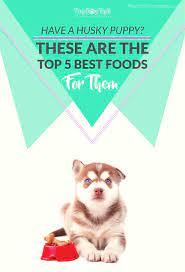 We may earn money or products from the companies mentioned in this post puppy huskies need to be fed more than adults because they exert more energy while growing up. Top 5 Best Dog Food For Husky Puppies To Raise Them Healthfully