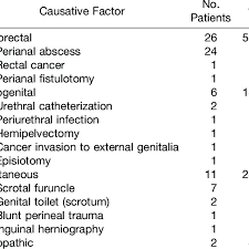 Fournier's gangrene is a form of necrotising fasciitis that affects the perineum. Causative Factors In 45 Patients With Fournier S Gangrene Download Table