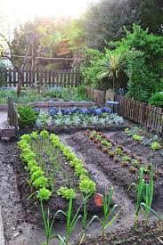 56 Vegetable Garden Design Ideas For Beginner Vegetablegarden Gardendesign Gardenideas Aacmm Com Garten Garten Anpflanzen Garten Ideen