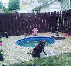 Stock Tank Swimming Pool Dog Pool Dog Pool Diy Dog Swimming Pools