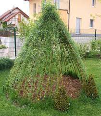 Kundenfoto Weidentipi Mit Ruten Einer Salix Viminalis Sorte Gepflanzt Mit Bewasserungsschlauch Garten Gartenprojekte Garten Pflanzen