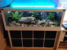 I Made A Bioactive Terrarium From An Ikea Shelf Bioactive Vivarium Reptile Terrarium Snake Terrarium