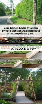 Sichtschutz Pflanzen Private Garten Hecke Eine Garden Types Ground Cover Plants Garden Tools List
