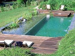 Pin Von Meagan Mccloskey Auf Pools Natur Bad Schwimmbad Designs Diy Schwimmbad