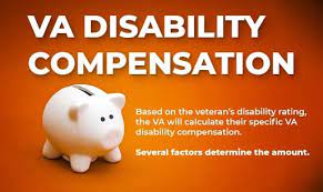 How To Get 100 Va Disability Rating Hill Ponton P A
