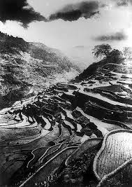 Banaue Rice Terraces Early 1900s Philippine Art Beach Landscape Philippines