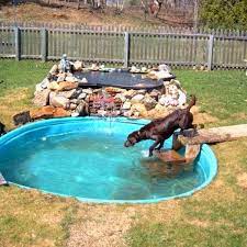 Backyard Ideas For Dogs Look At This Pool Dog Pool Dog Playground Dog Backyard