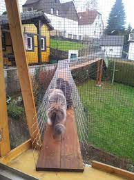 Brucke Von 1 Etage In Garten Seite 7 Katzen Treppe Katzenauslauf Katzentreppe