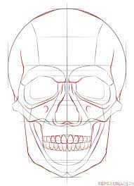 How To Draw A Human Skull Step By Step Drawing Tutorials For Kids And Beginners Skulls Drawing Drawing Tutorial Drawing For Beginners