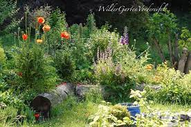 Pin Auf Garten