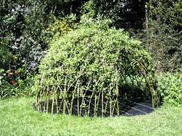 How To Grow A Child S Living Den Or Playhouse From Willow Or Bamboo Garten Pflanzen Garten Bepflanzen Garten