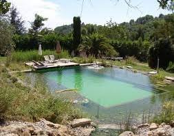 The Blissful Natural Pool At Orion B B And Treehouse In The South Of France Photo Richard Ha Natural Swimming Pools Natural Swimming Ponds Swimming Pool Pond