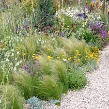 Auf Trendjagd In England Garten Pflanzen Wildblumen Wiese Schoner Garten Bilder