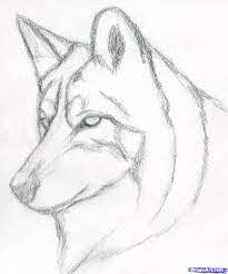Wolf Sketch Art Drawings Wolf Sketch Wolf Drawing