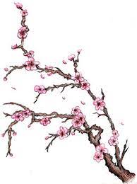 Pin By Dallas Below On Tattoos Piercings Cherry Blossom Tree Tattoo Blossom Tree Tattoo Cherry Blossom Tattoo