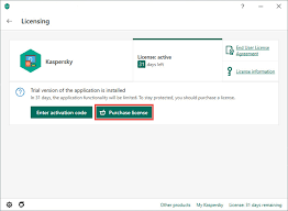 How To Activate Kaspersky Anti Virus 20