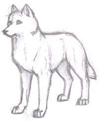 Simple Wolf Drawing Google Search Wolf Drawing Easy Animal Drawings Wolf Drawing