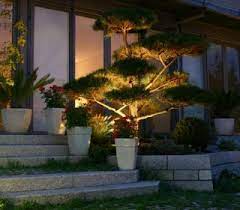 Beleuchtung Baumbeleuchtung Licht Lichtimgarten Inspiration Gartenbeleuchtung Gartenbeleuchtung Licht Im Garten Gartenleuchten